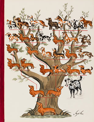 Constantin Alajalov : Family Tree