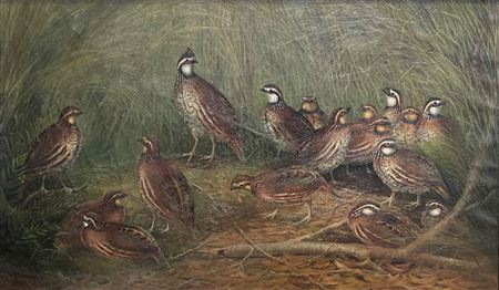 Gerard Rutgers Hardenbergh : Family of Quail