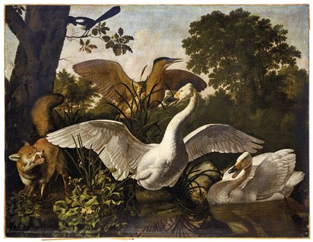 Dirck Wyntrack : THE SWAN FRIGHTENED BY A FOX