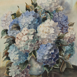 Florence Luxford : Hydrangeas