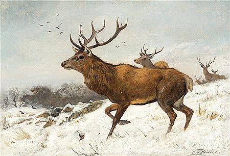 Carl Friedrich Deiker : Stags in the Snow