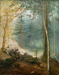 Jan B Minarik : Morning in the Woods