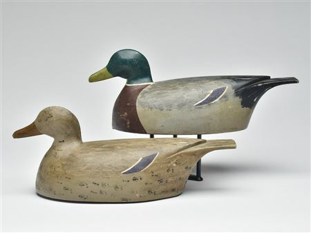 Percy Bicknell : Rigmate pair of mallards