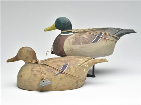 Percy Bicknell : Rigmate pair of mallards