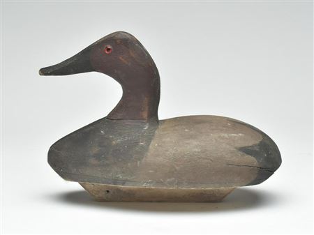 Duncan Ducharme : Canvasback