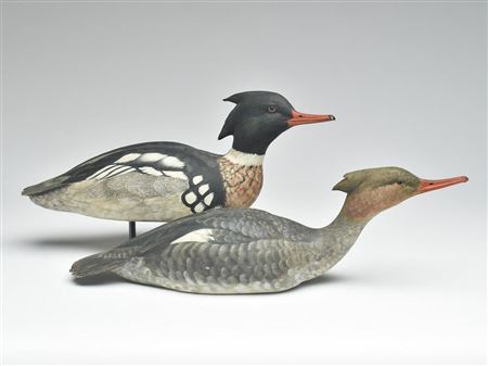 John S Scheeler : Pair of swimming red breasted mergansers