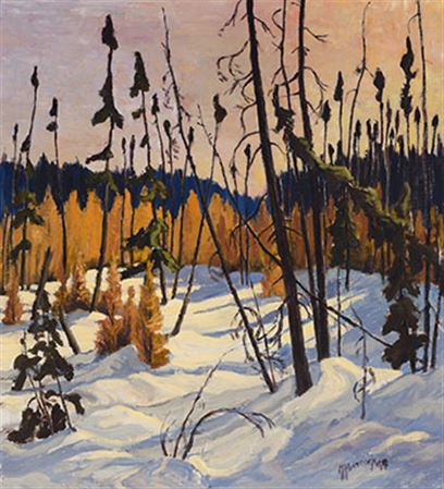 Maurice Haycock : Boreal Forest, North of Lake Superior, 1949