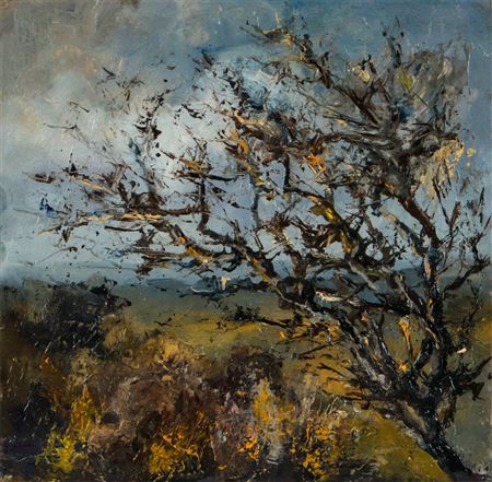 Jim Holmes : 'FAIRY THORN, SPERRINS'