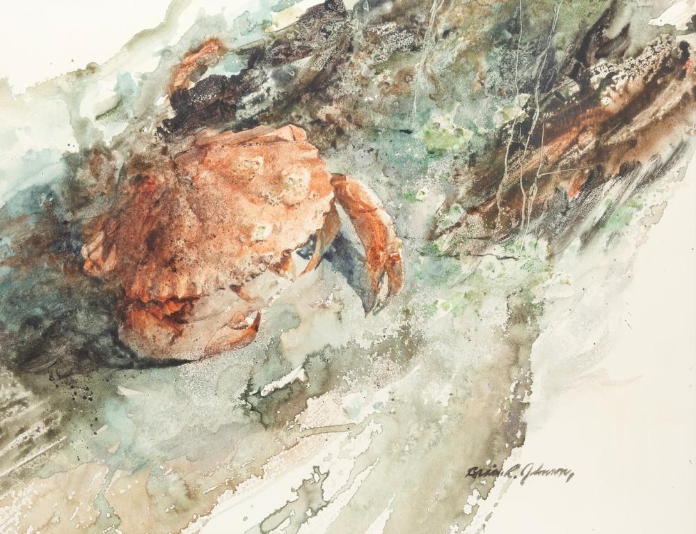 Brian R Johnson : Crab and Driftwood