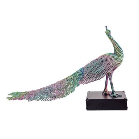 Valay Shende : Untitled (Peacock)