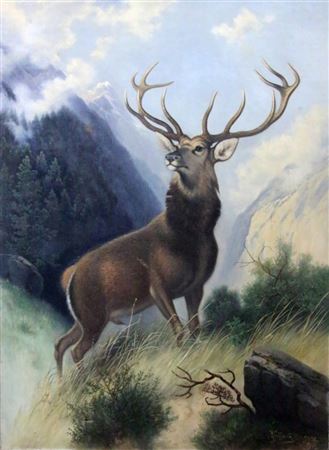 Georg Hoffmann : A dominant deer with twelve tines