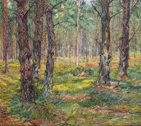 Hans Lindner : Pine forest