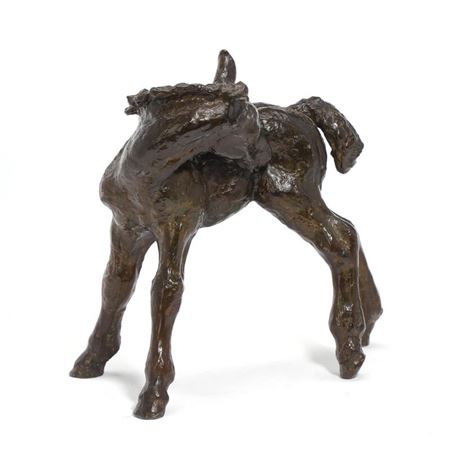 Gudrun Lauesen : Standing foal