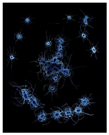 Zhao Zhao : Constellations No.10