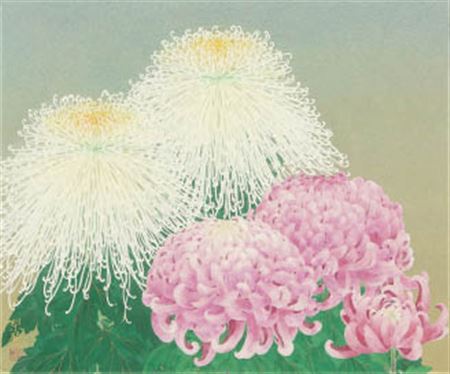 Rieko Morita : Autumn flower