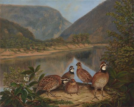 Titian Ramsay Peale : Five Bobwhites at the Delaware Water Gap