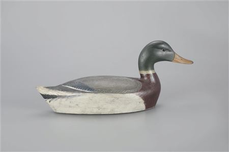 Chauncey Wheeler : Exceptional Mallard Drake