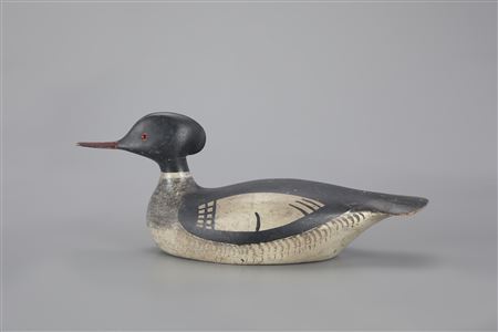 George Boyd : The McCleery Boyd Merganser Drake