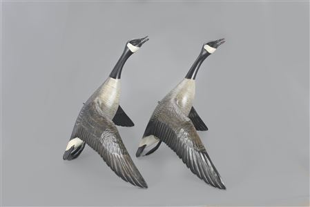 Mike Borrett : Flying Canada Goose Pair