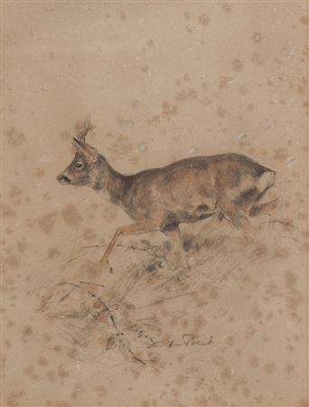 sample from WILDLIFE ART