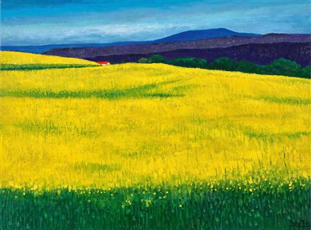 Susy Kathy Thys : Rape field in bloom