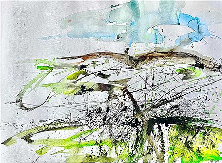 Jonathan Hayter : Penwith in Spring