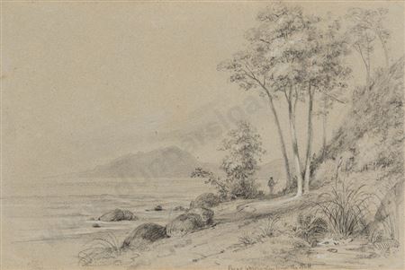 sample from William Swainson NZ Historical Drawings