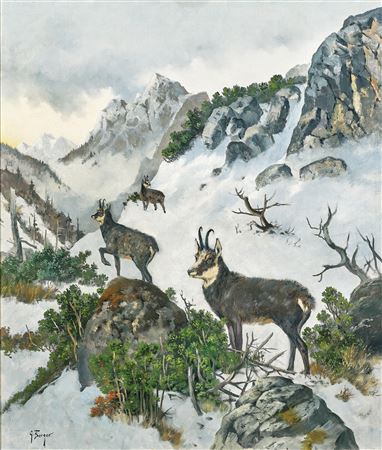 Georg Maria Berger : Chamois High in the Mountains