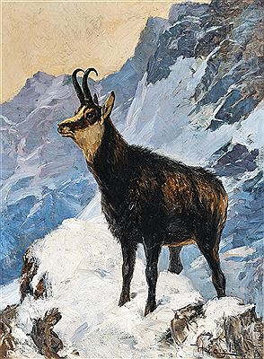 Hugo Engl : Chamois High in the Mountains