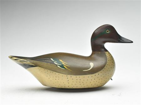 Charles Magnus Bergman : Outstanding greenwing teal