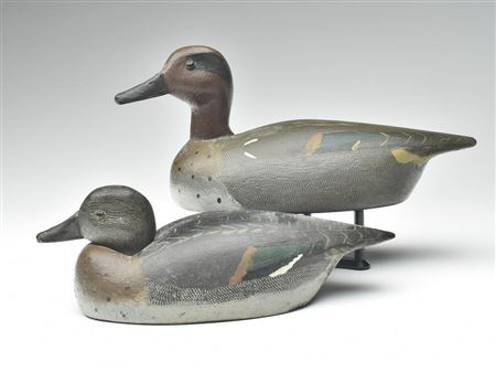 Billy Ellis : Pair of greenwing teal