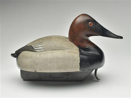 Ferdinand Bach : Canvasback drake