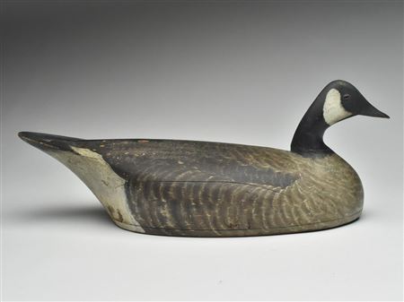 George Warin : Excellent Canada goose