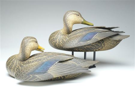 Oliver Lawson : Highly decorative and exceptional pair of black ducks