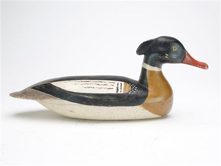 Lloyd Parker : Extremely rare red breasted merganser