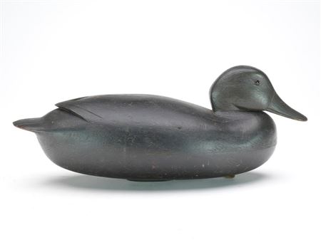 Joseph King : Black duck