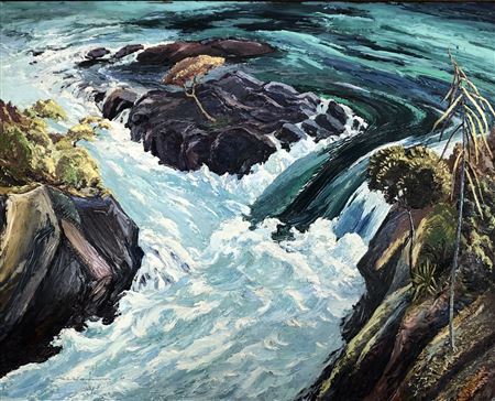 Reg J Waghorn : ARATIATIA RAPIDS, 1967