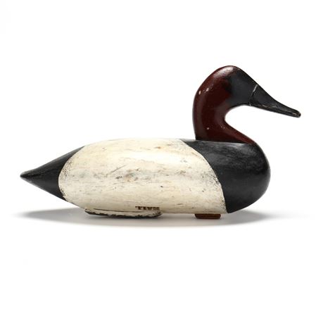 John Cockey : Canvasback