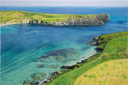 Blaise Smith : Horse Island, Castle Haven, West Cork