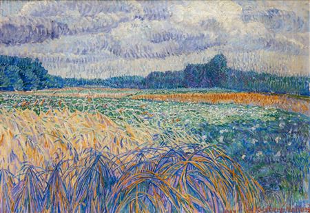 Jo Koster : A bright cornfield