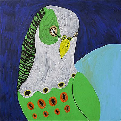 Kushia Young : Budgie Dreaming