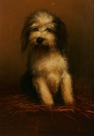 Kocsis Lenard : Terrier Study