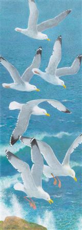 Douglas Allen : Seagulls