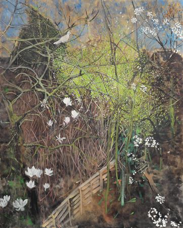 Jean Cooke : The Wild Plum Tree