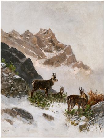 Georg Maria Berger : Chamois in the Snow