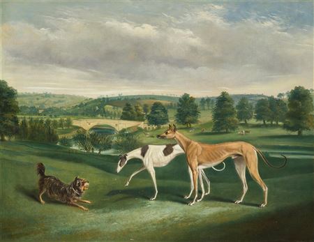 John Charles Maggs : Terrier and Greyhounds