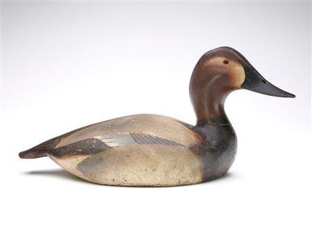 Lem (Lemuel) T Ward Jr : Canvasback Hen