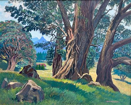 Cyril Whiteoak : Sun & Shade, Northland