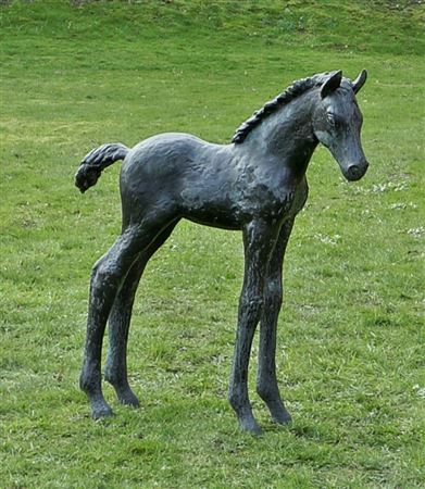 Ladislav Hlina : Large standing foal