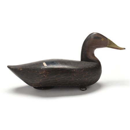 Jim Currier : Black Duck